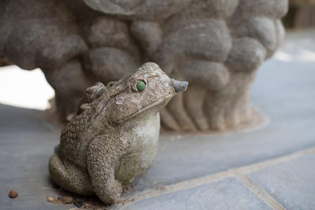 Frogs Bottom Retreat Faversham & Canterbury, Kent Ngoại thất bức ảnh